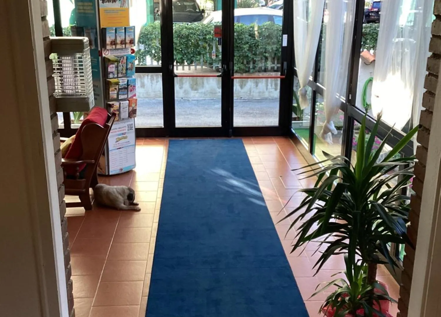 Hotel Villa Alexandra Bellaria-Igea Marina